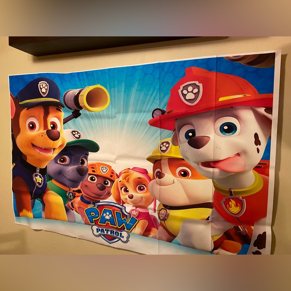Paw patrol birthday party supplies kit